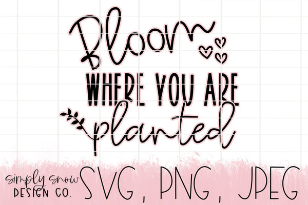 Bloom Where You Are Planted Spring Svg, Comes With Offset, Png, Jpeg, Instant Download, Silhouette Cut fileCricut Cut File SVG For Tumblers
