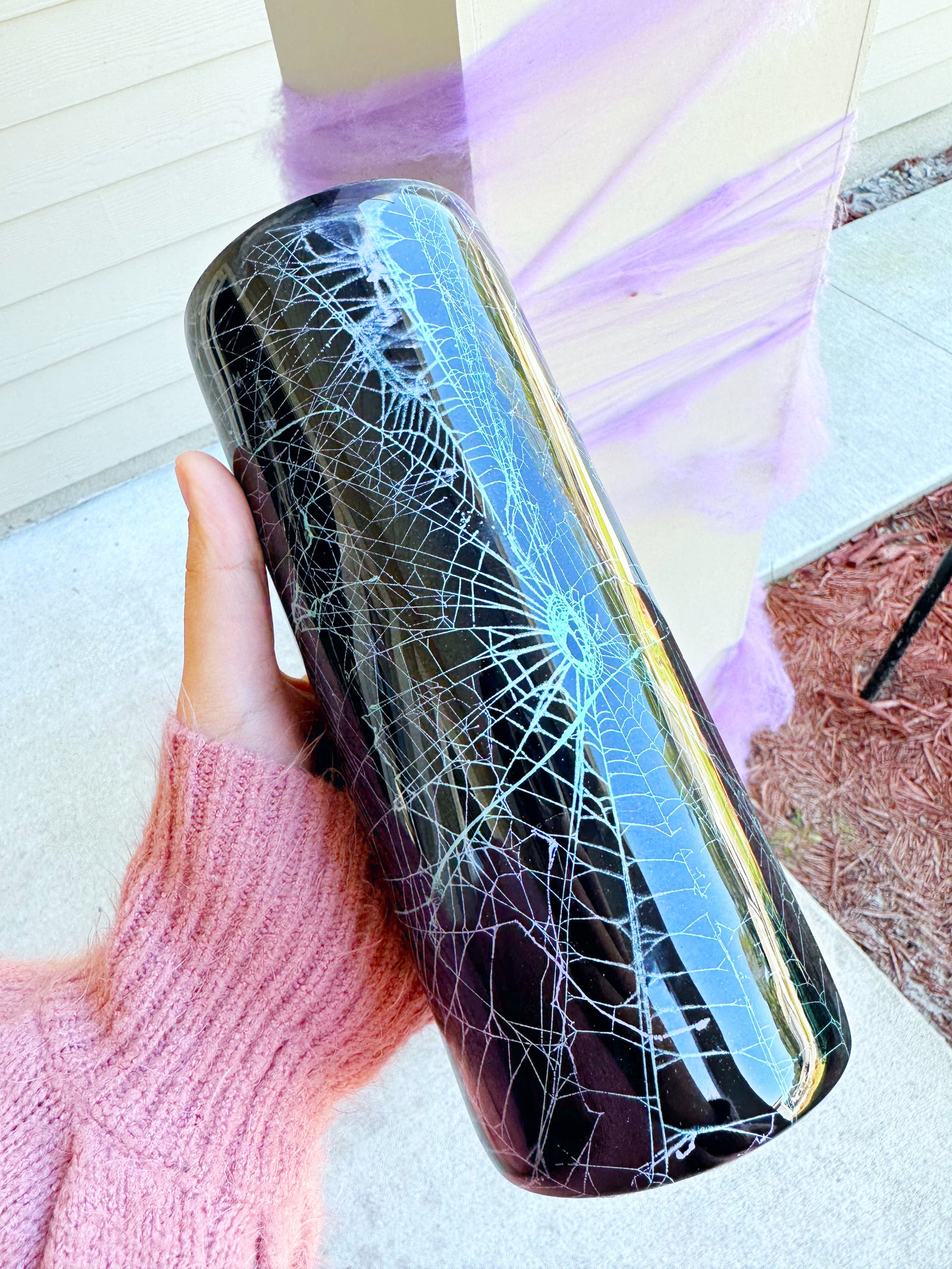 SPIDER WEBS
